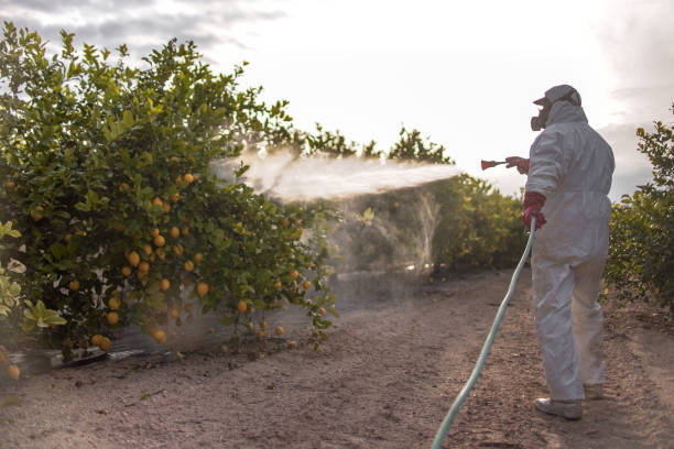 Best Pest Control for Restaurants and Food Service  in Hildale, UT